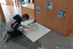 IMG_20250306_083300