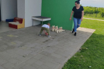 IMG-8cc4df49a761f26047345c1510cd27e1-V