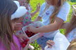 IMG_20260608_090043