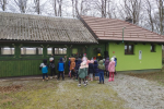 IMG_20250113_103645