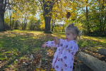 IMG-20251122-WA0002