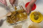 584f846e-2e9b-4a71-9419-43a6691258c2
