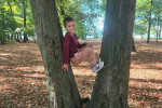 1d376475-0e82-4cd7-8238-0b6298721424-Custom