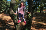 38ae1174-70e5-4f2b-afae-c7787d86f5ea-Custom