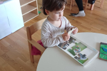 ptice-18