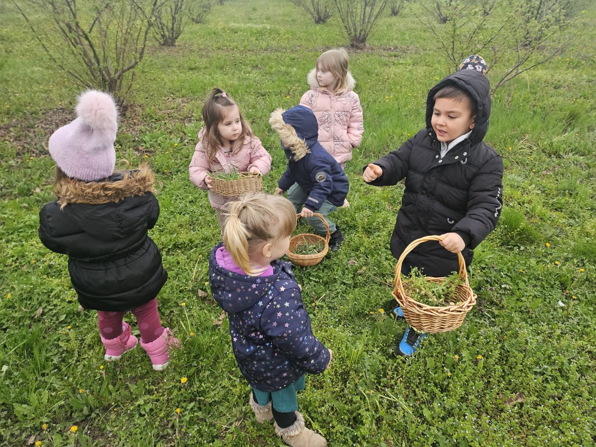 WhatsApp Image 2026-04-06 at 23.00.29